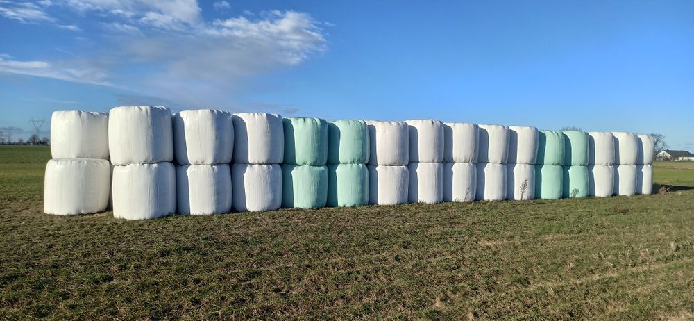 Sianokiszonka kiszonka