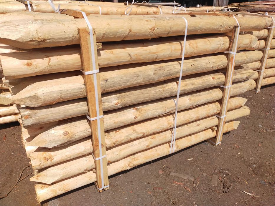 Palisada / słup / kołek / kołki / korowane / słupy / tyczki /