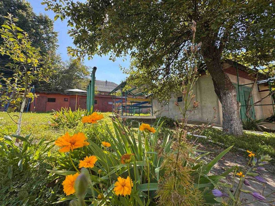 Трикімнатна квартира на Гречанах!