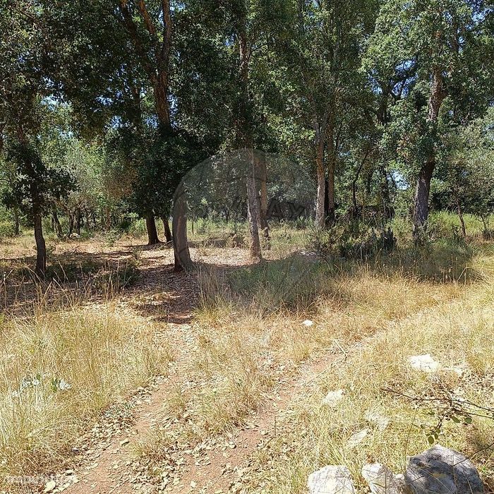 Terreno  para venda