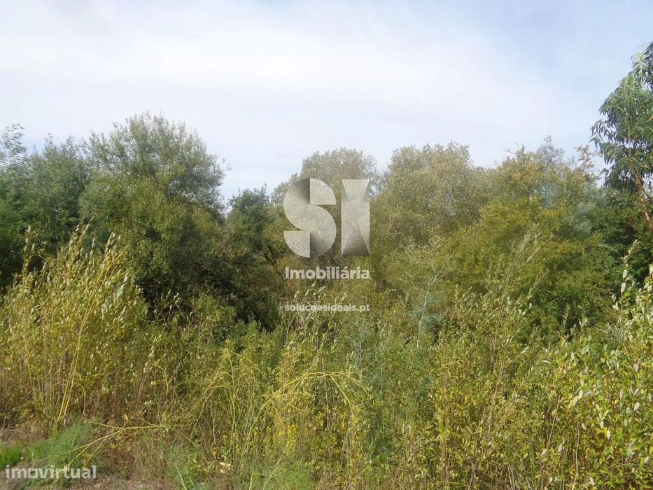 Terreno em Vila nova de poiares