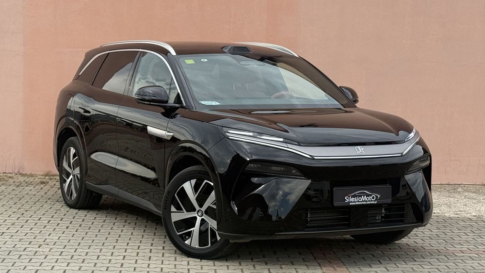 BYD Pozostałe BYD