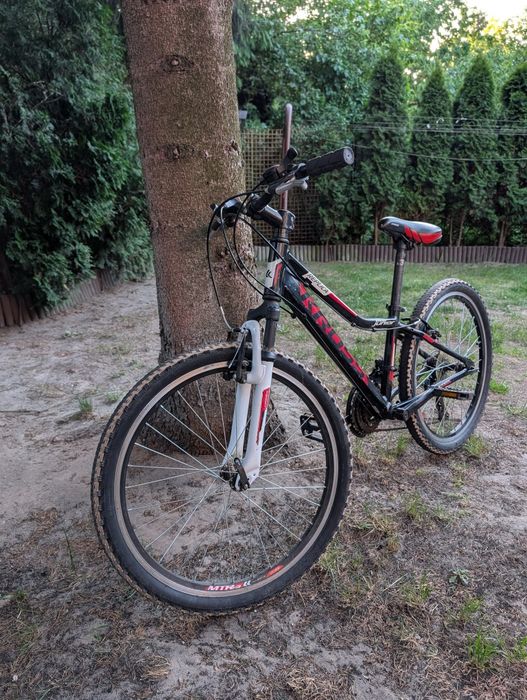 Kross Hexagon Replica Junior 24"