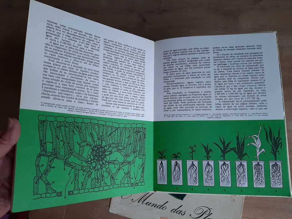 Enciclopédia  de 8 Volumes  "O mundo das plantas" da Verbo Juvenil