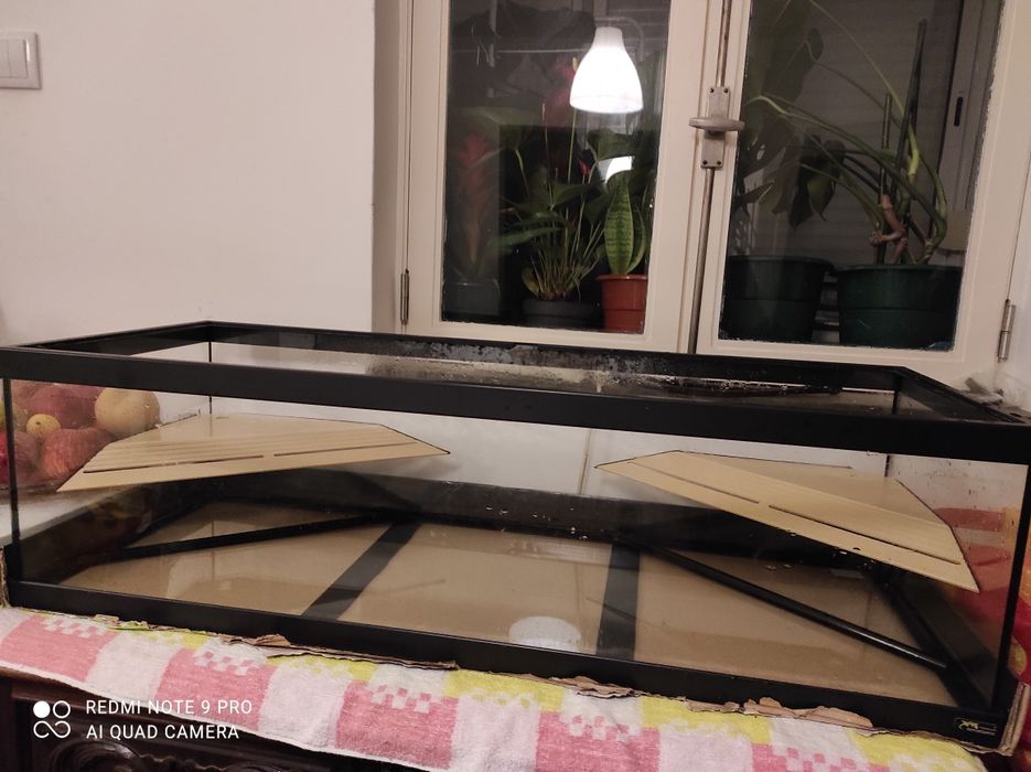 Aquaterrario Tartaruga Gigante (completo)