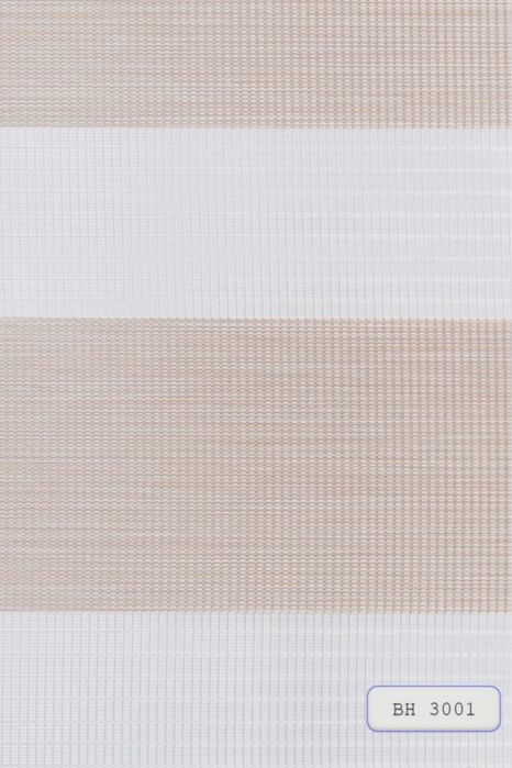 Ролети День і ніч