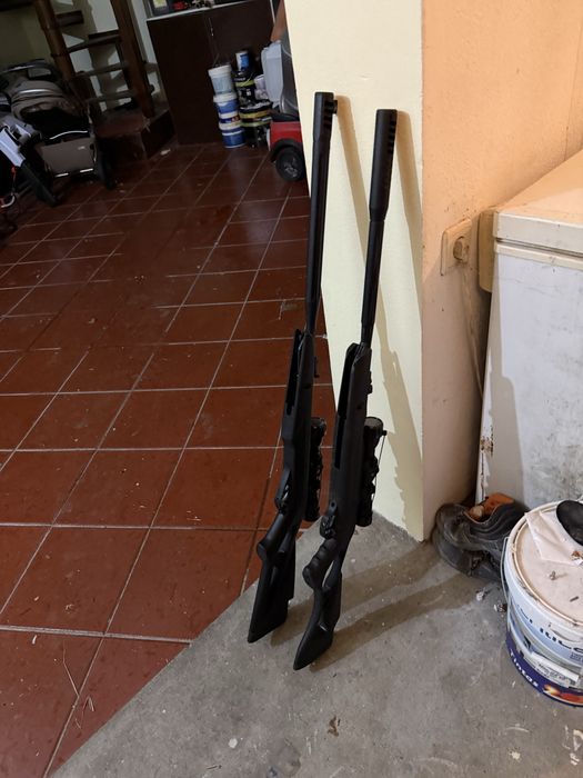 Carabinas 4.5 muito boas  para despachar