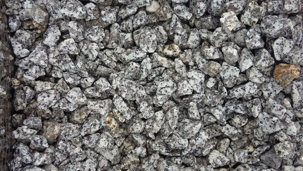 Grys Granitowy 16/22, Dalmatyńczyk