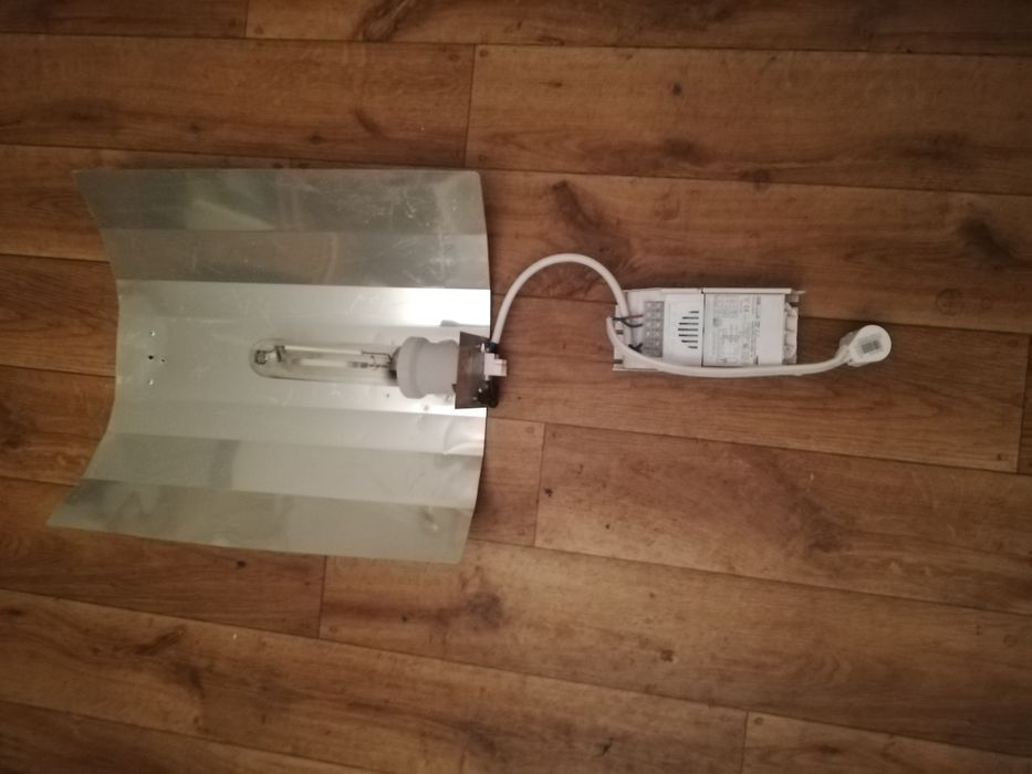 Odbłyśnik do uprawy roślin