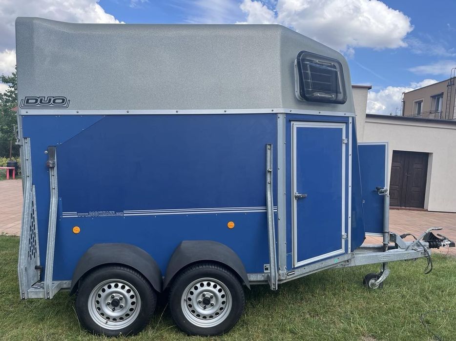 Wynajem aut  busów dostawczaki