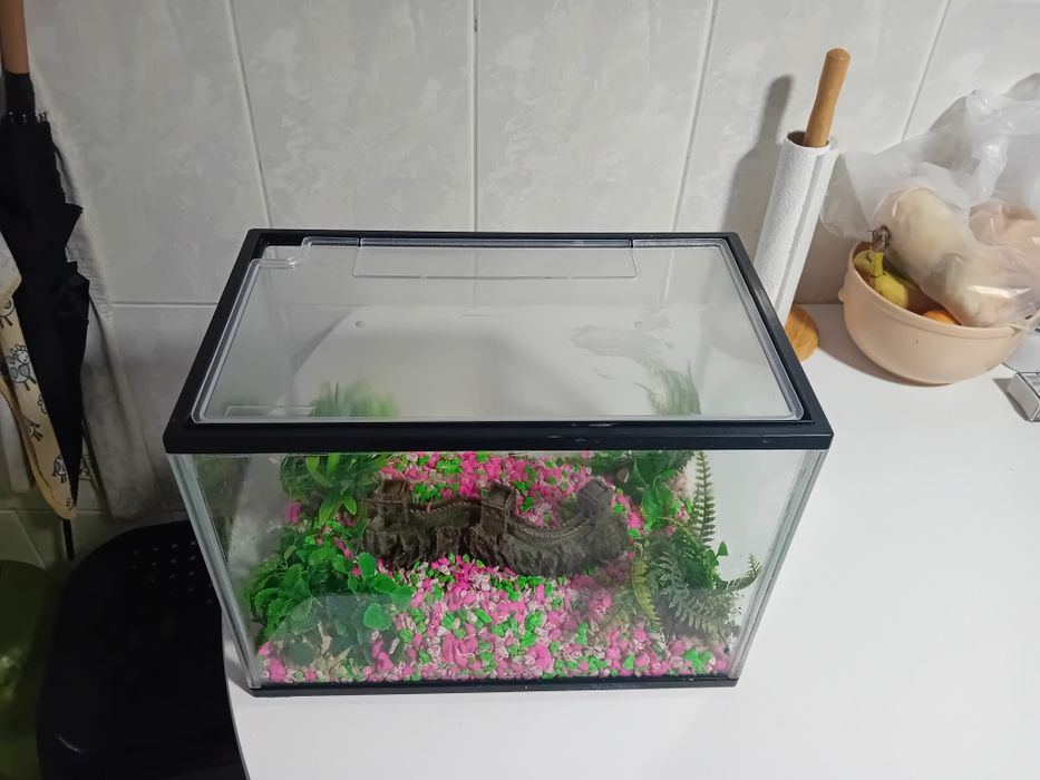 Aquário com acessórios