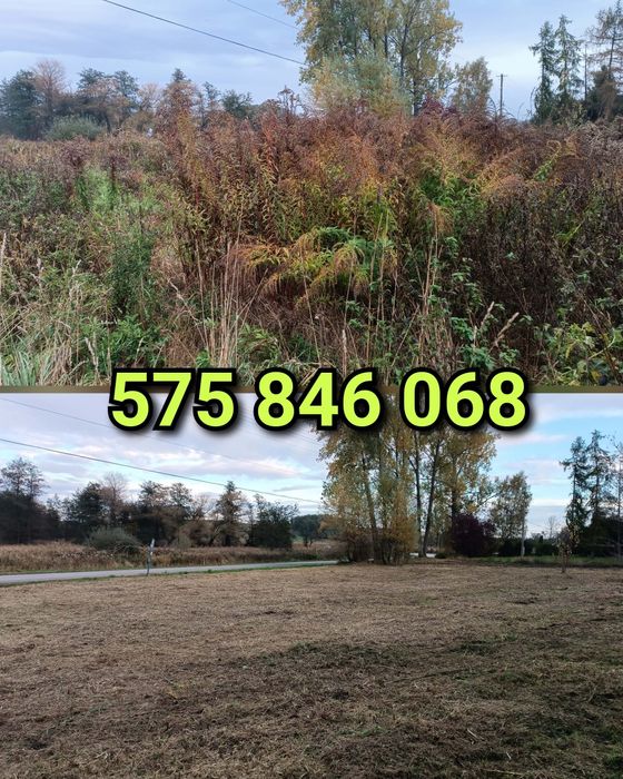 Koszenie trawy nieużytków, bijakowa kosiarka, karczowanie, usługi ogr.