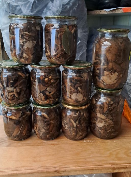 Мариновані опеньки