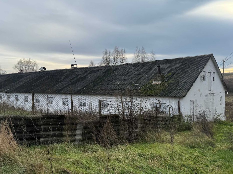 Нежитлові будівлі - с. Припруття, Чернівецька обл.