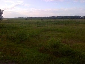 Продам земельну ділянку 24 сотки