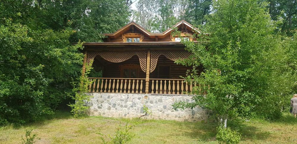 Продам будинок + парк 2 Га в Старому Мерчику | варіант для себе та бізнесу