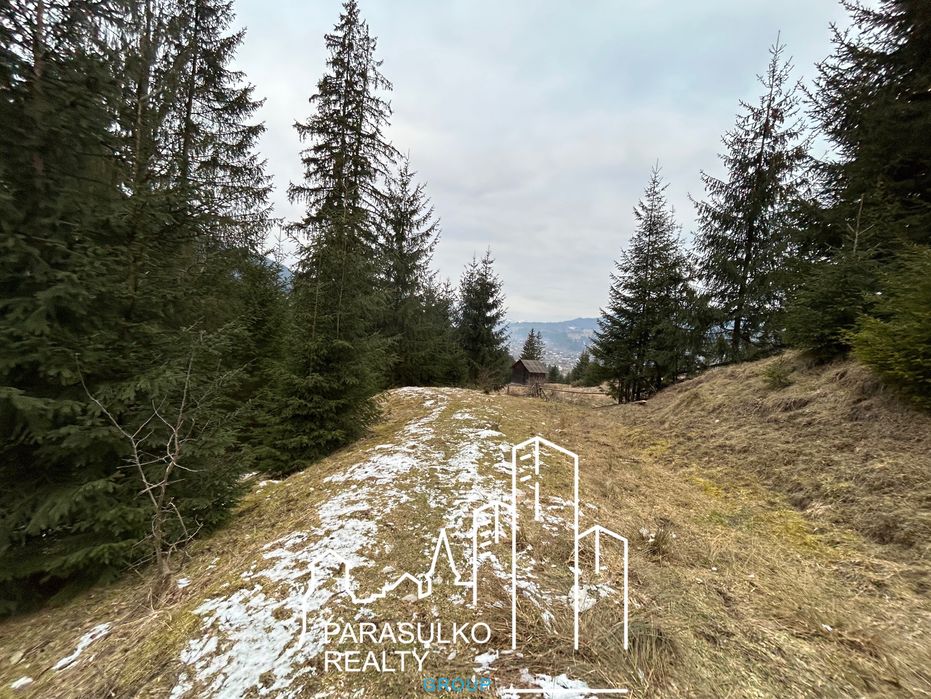 Продам земельну мальовничу ділянку в Карпатах