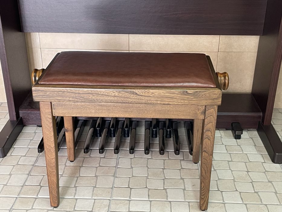 Órgão Roland AT100 + Banco