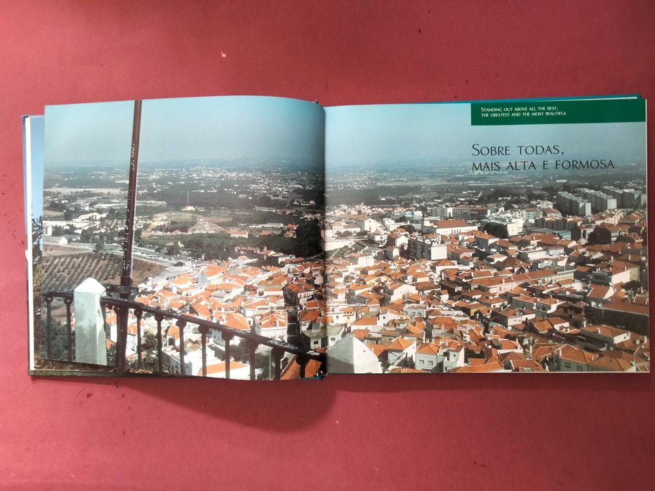 Palmela Sobre Todas, Mais Alta e Formosa - António Matos Fortuna