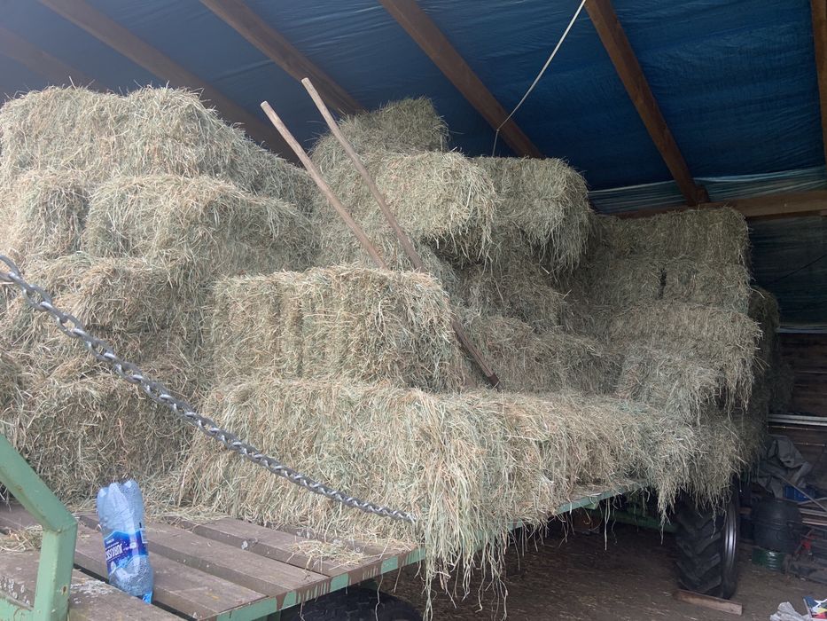 Sprzedam siano tegoroczne
