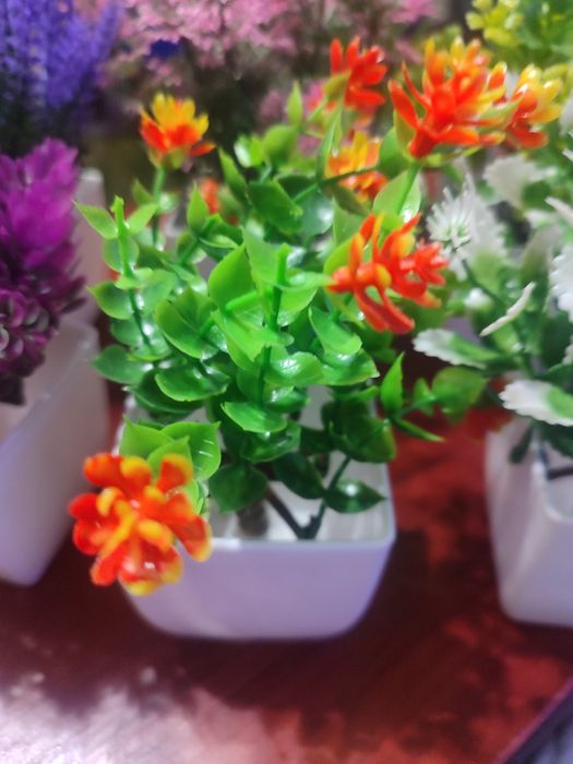 Яскраві штучні рослини . 7 штук.