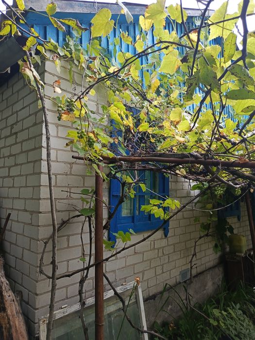 Дача  8,5 соток СТ Джерело (Десна ,Земснаряд)