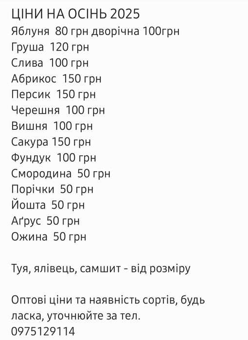 Саджанці  яблуні груші персика черешні сливи лохини фундука горіха