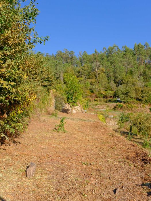 Limpeza e Manutenção de Terrenos