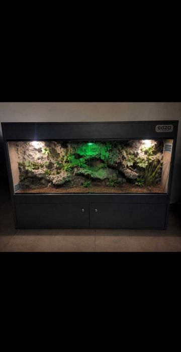 Okazja terrarium dla agamy gekona żółwia węża kameleona legwana 120x60x60