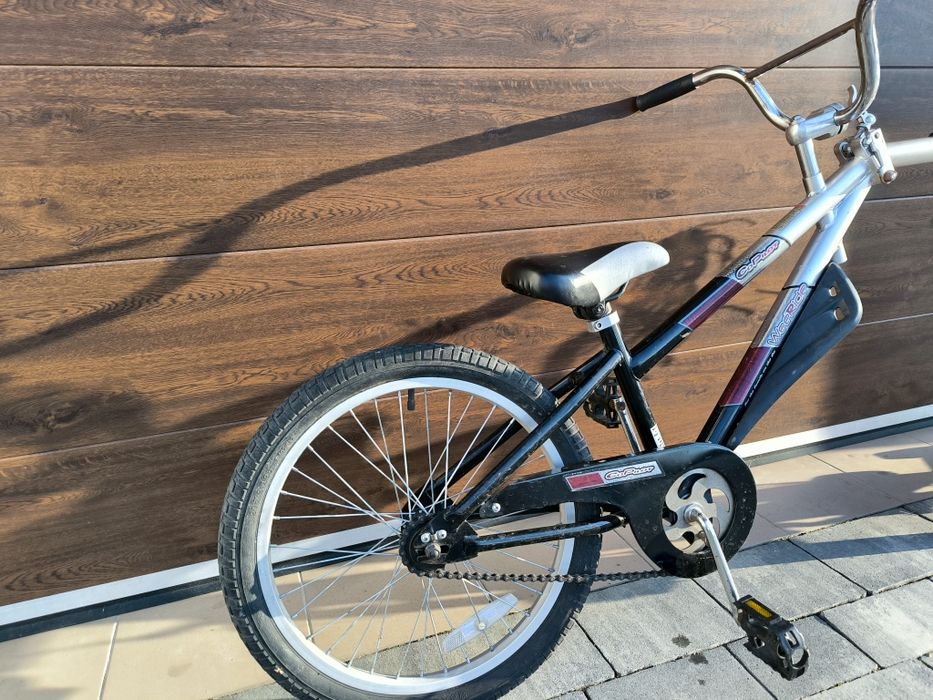 Przyczepka rowerowa WEERIDE Co-Pilot