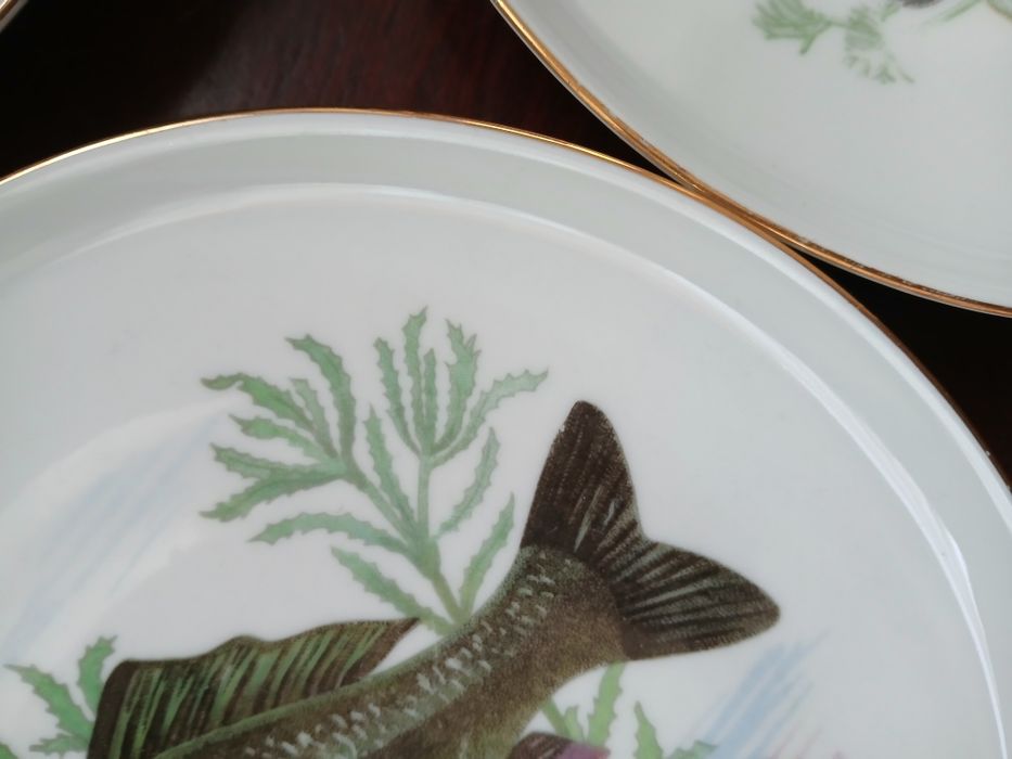 Porcelanowe talerze 17 cm rybki 6 sztuk ryby Colditz