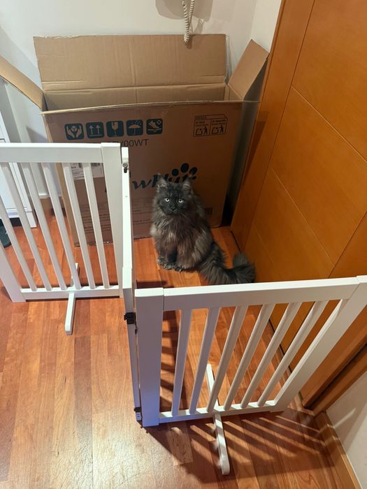 PawHut Barreira para Cães de Madeira Barreira para Animais  Dobrável de 3 Painéis com 1 Porta e Pés de Apoios