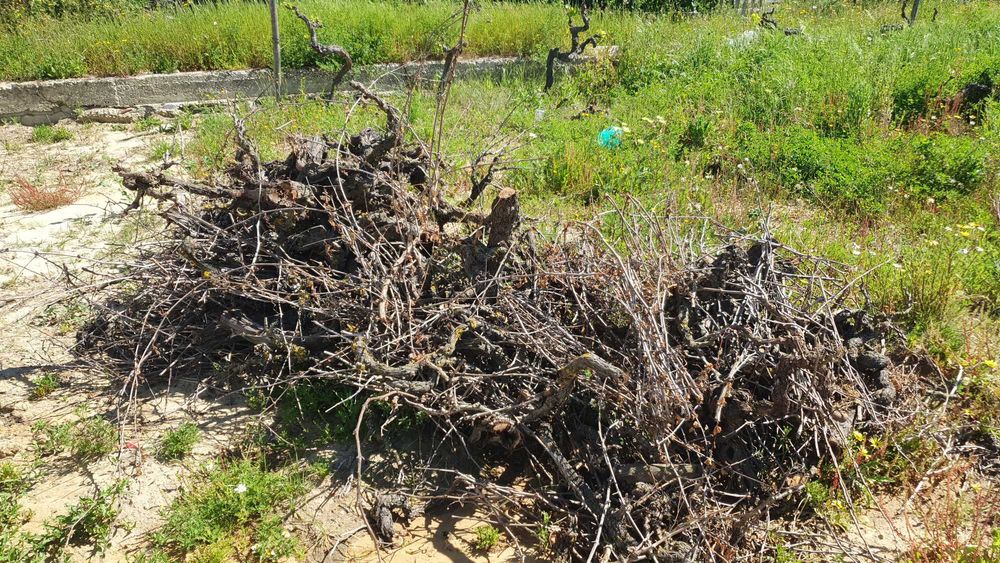 Troncos para Aquários