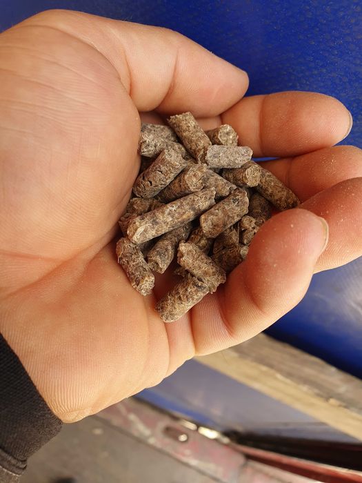 wysłodki buraczane suche granulowane w formie peletu wytłoki buraki