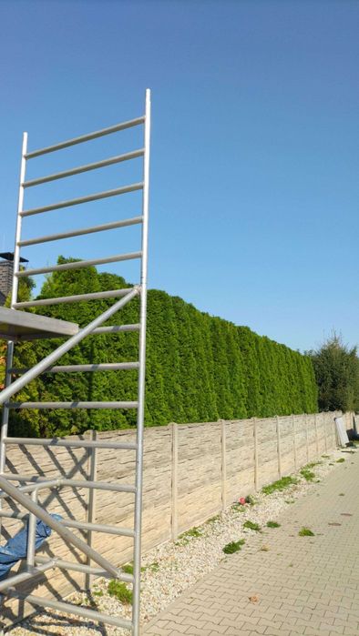 Wycinka drzew/zakładanie ogrodów/prace pielęgnacyjne