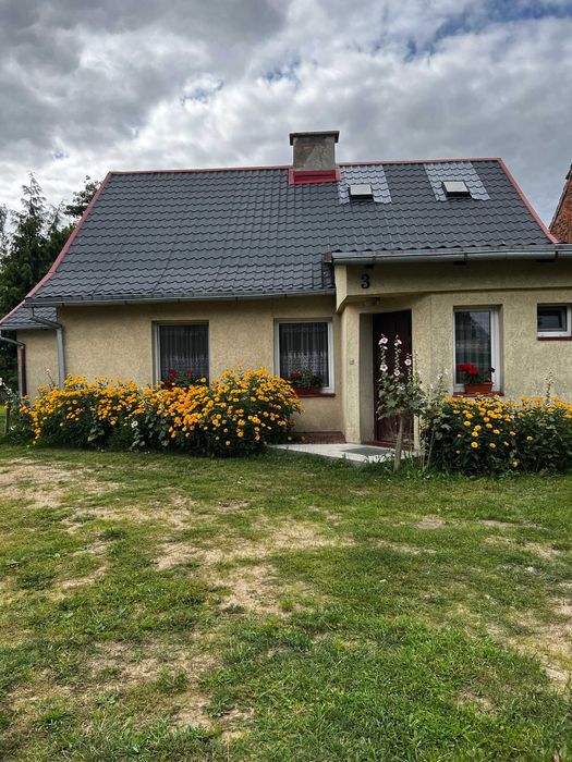 Domek na wynajem, agroturystyka SZCZYPIORKI, KASZUBY, WAKACJE, MAJÓWKA