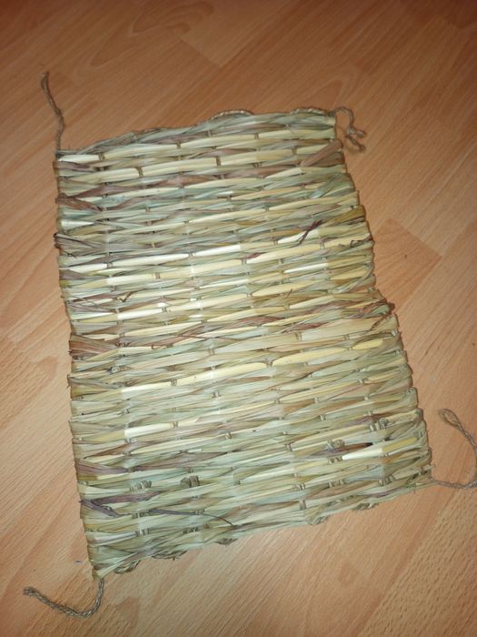 Mata dla gryzonia