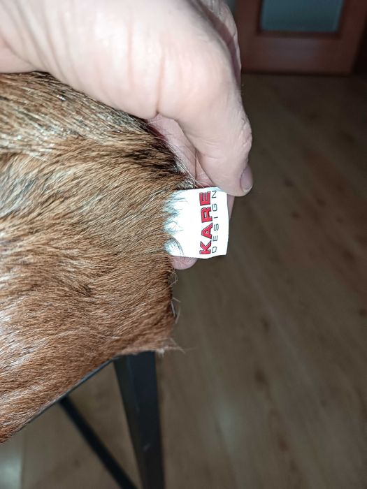 Bancos de Bar 200€/2 em vez 518€, marca KARE