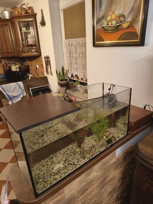 Akwarium 80 litrów w stanie dobrym