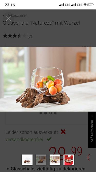 Akwarium Szklana miska Natureza korzeń wazon misa na owoce Ozdobna