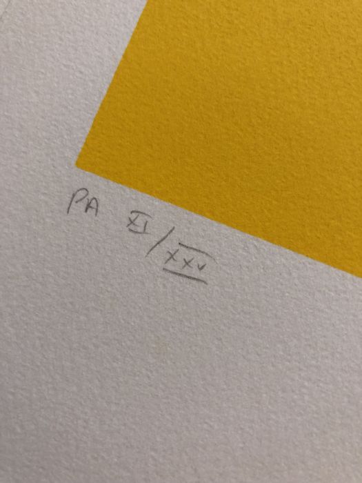 EXCELENTE Leonel Moura Serigrafia COMO NOVA