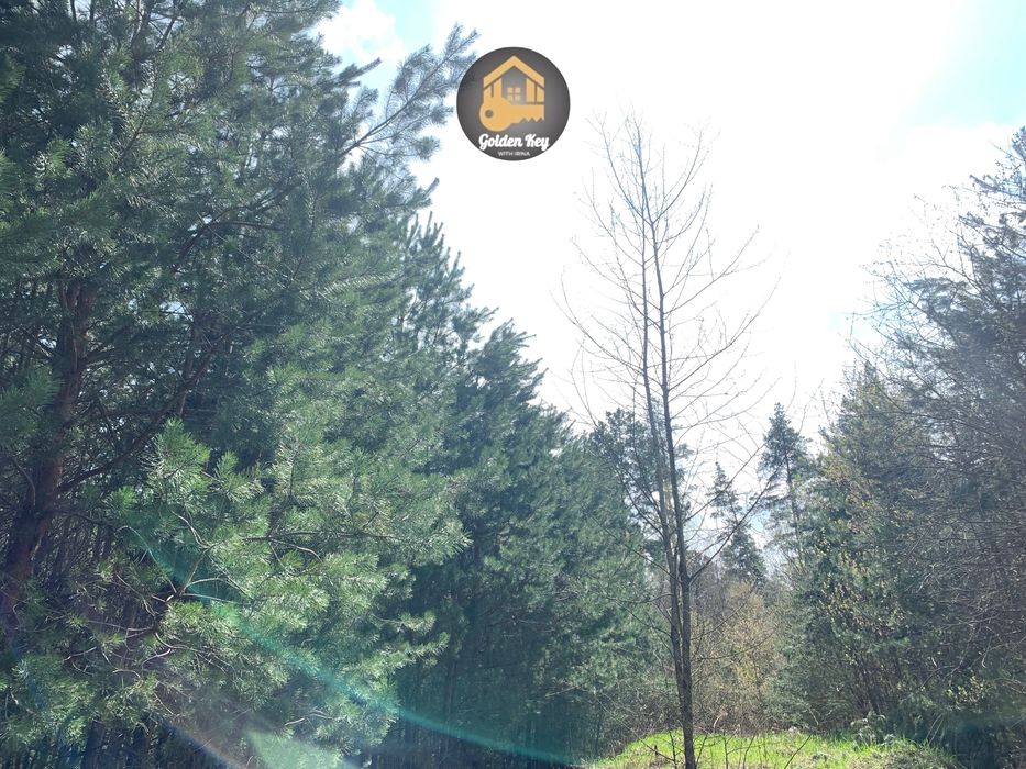 Продам Земельну Ділянку 8 соток , ЖК ЯСНИЙ, с.Ясногородка, ЛІС