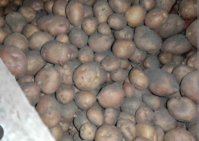 Картопля оптом !