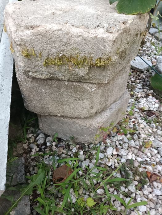 Pustaki Mki + Trelinka oddam darmo