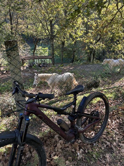 Orbea rise H 30 impecavel