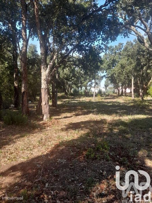 Terreno Agrícola em Aljubarrota