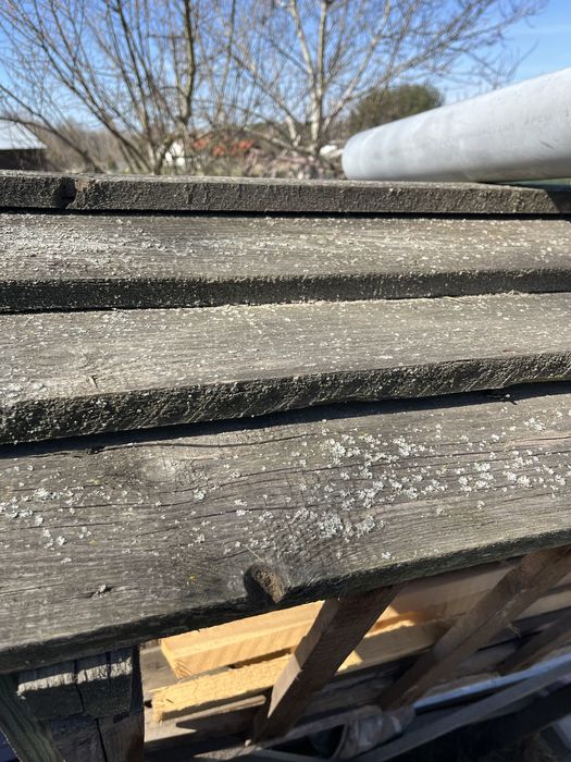 Paśnik dla saren zwierząt