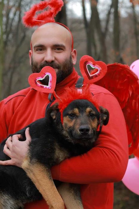 MUMIN - 1,5-roczny, łagodny i czuły wobec ludzi. [FILMIKI}