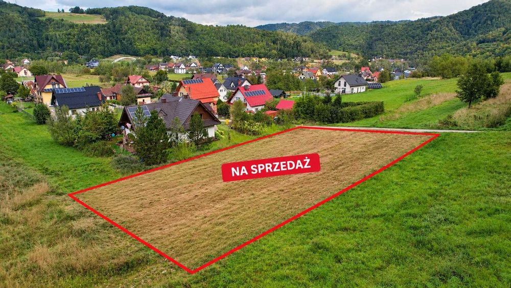 Zdjęcie 7
