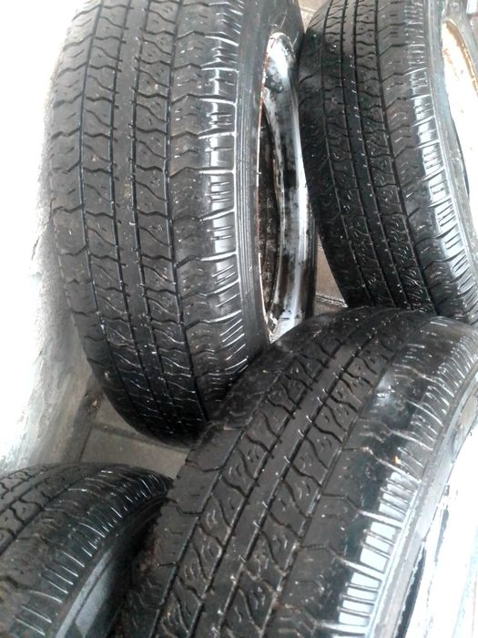 Гума літня Таврія